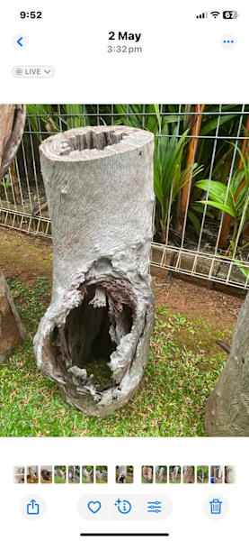 Landscape Garden Feature Planters62863842803713113