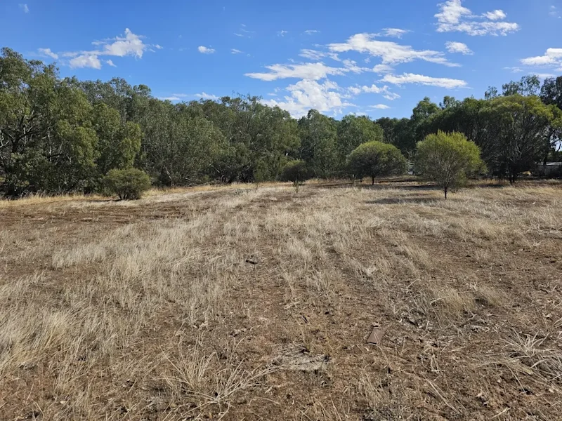 36 Knotts Rd York
4.97 Acres $398,000. Plus G.S.T.62995741142787113