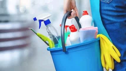 Domestic house cleaner62863368343427110