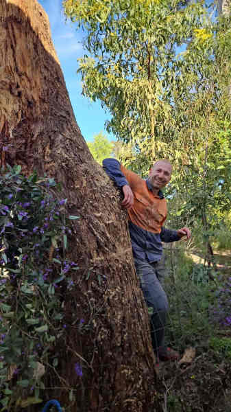 Eid Tree Services62863417940738114