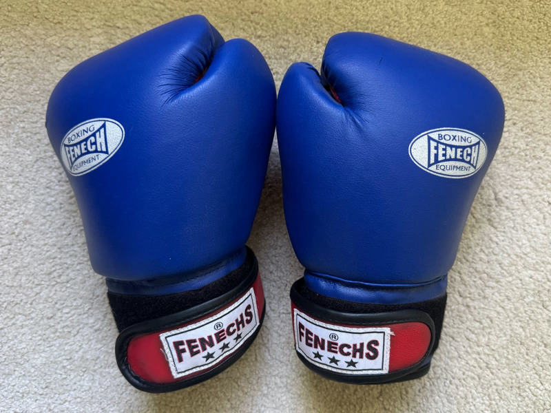 Pair of Fenechs Boxing Gloves