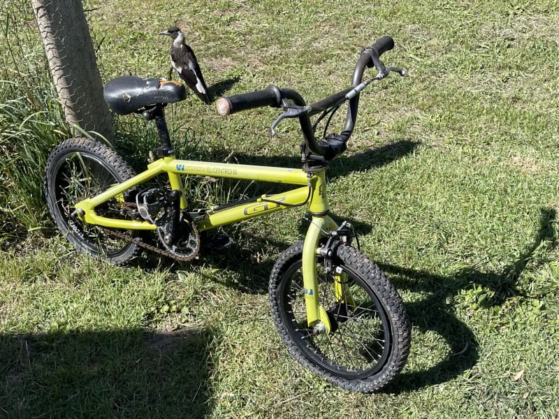 Top 88+ about gt bikes australia latest NEC