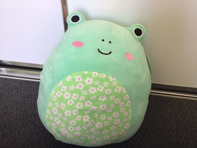 wendy squishmallow near me