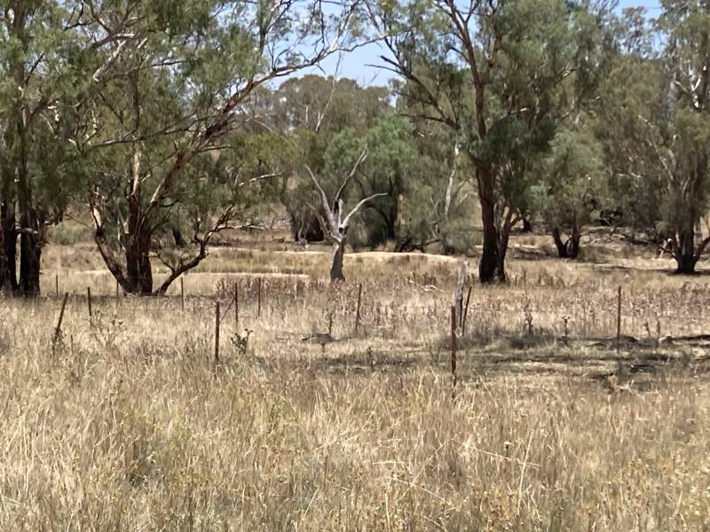 48.5 hectares rural land62885359287555113