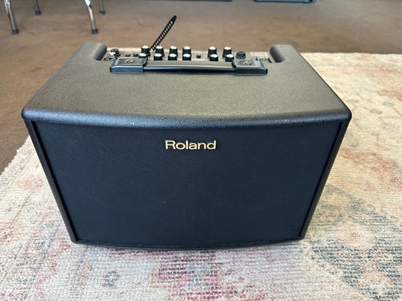 Roland AC-60 Acoustic Chorus Amplifier with Carry Case | Guitars