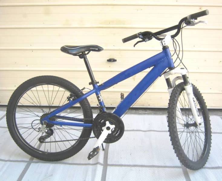 avigo 24 downhill bike