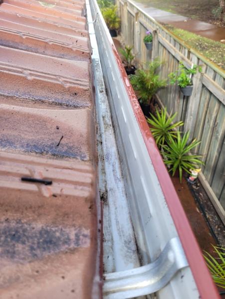 GUTTER CLEANING $25062995618569731111