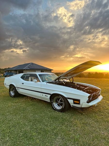 1973 Mach 1 Ford Mustang629366605739541114