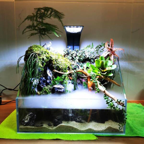 Terrarium mist top