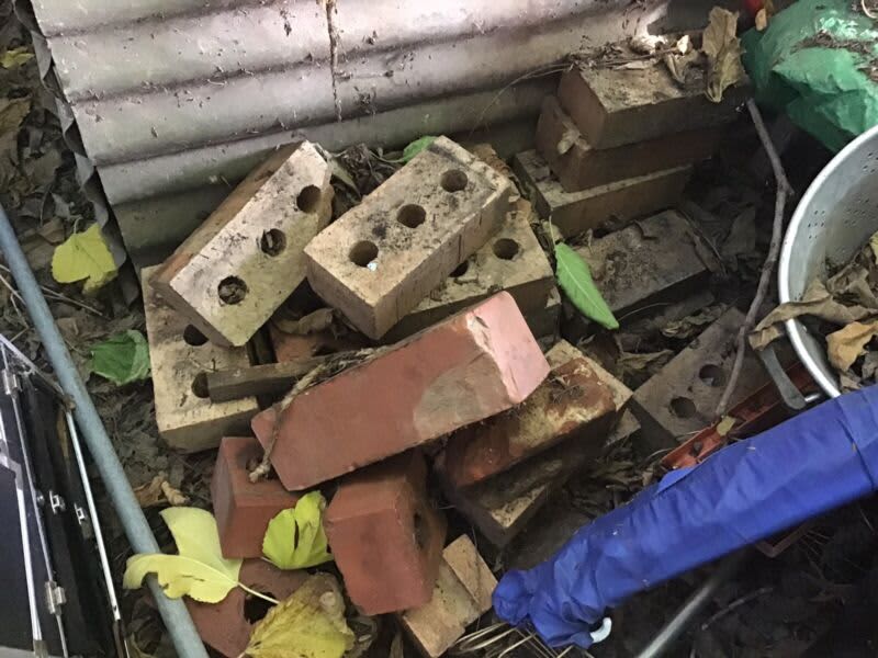 Old red and creme bricks63007279233026111