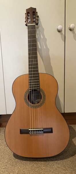 s101 classical guitar