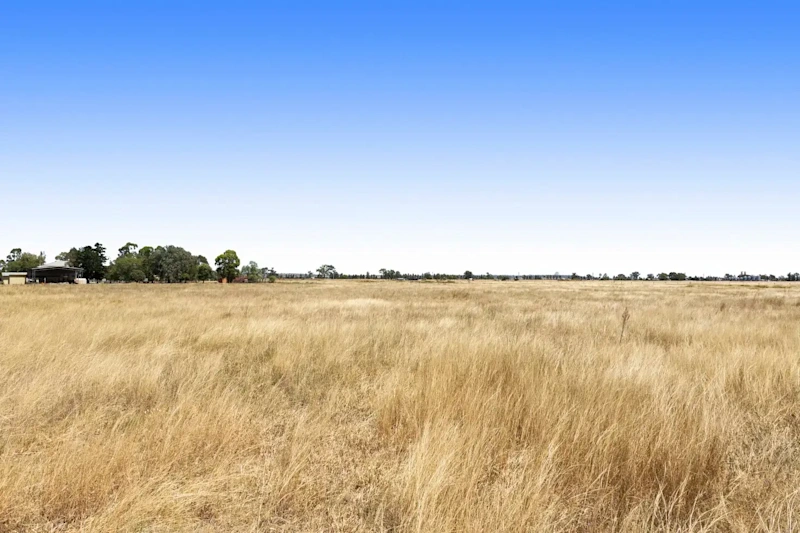 Lifestyle, Horses - 5acres63006483799810112