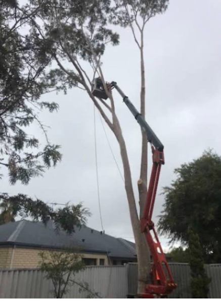 Handyman services rural property maintenance62863391981955111