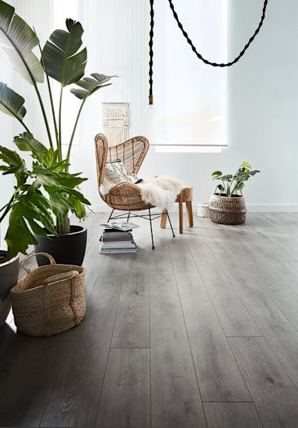 Flooring Clearance Depot for laminates hybrids timber oaks in stock63440339787266112