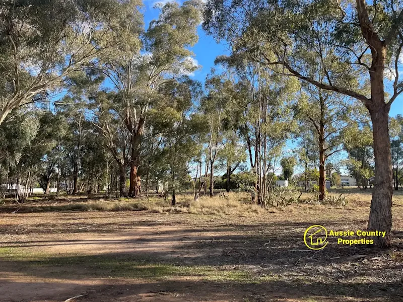 Build Your Dream Home in Beautiful Berrigan: Land for Sale Now!63006803021569116