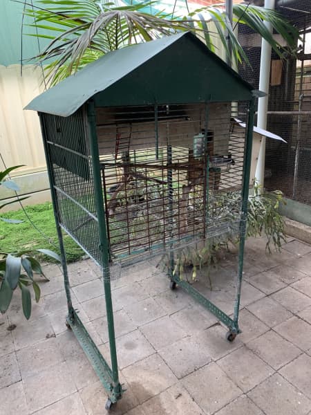 olx parrot cage for sale