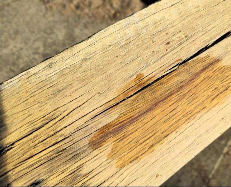 RARE SIX INCH (150mm) HARDWOOD PALINGS63440221902339112