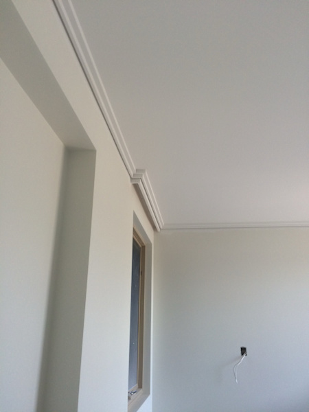 Tim Laning Plastering62863417362434114