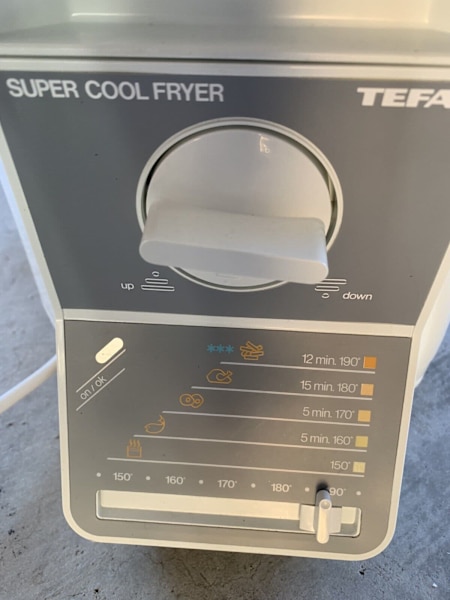 Regal fryer63022180167555113