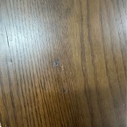 Stellar 7PCE Dining Suite62863373506433113