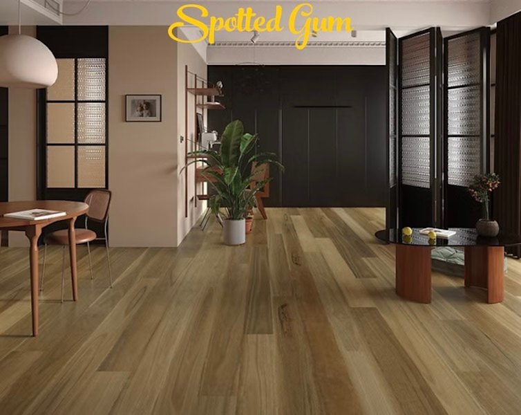 12mm Laminate Floor Spotted Gum63011174915074114
