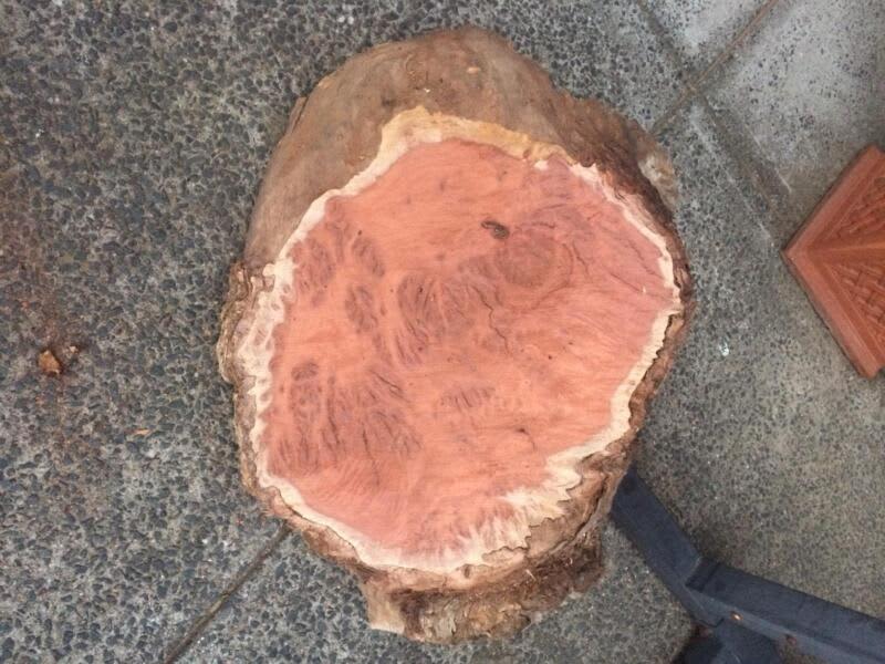Hardwood live edge timber slab burl slices- from $10063008423324418111