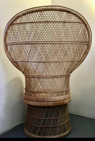 Peacock Chair62863379102722111