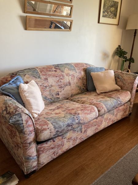 Couch with pull out bed62863409965443111