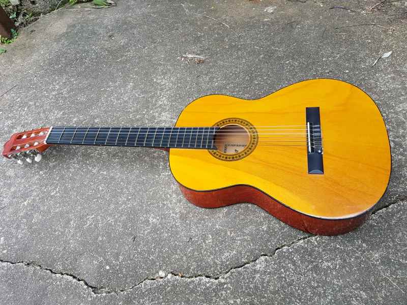 riviera acoustic guitar price