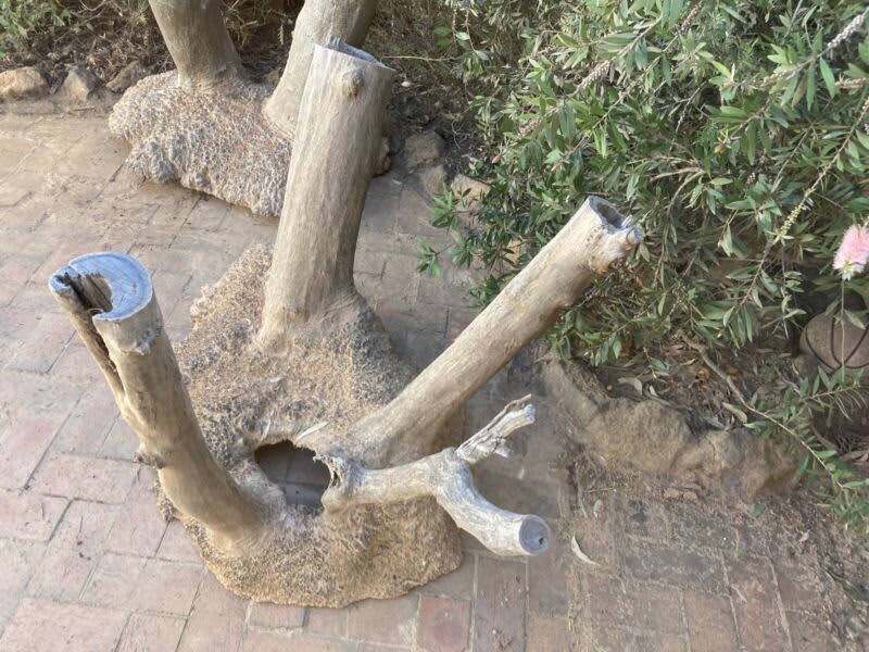 Mallee burl stumps for table bases - feature / decorations63008479839106111
