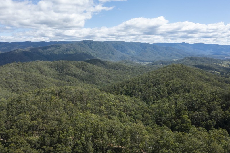 A Vast 484-Acre Wilderness Retreat63438493535747114