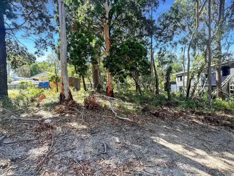 Elevated Position - Walk to the Water62887428748674113