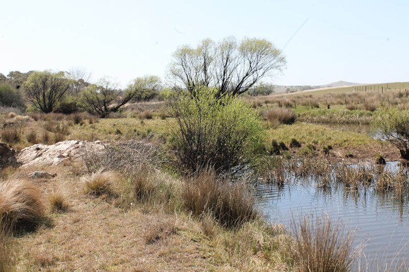 Jembaicumbene Creek62882775947266114