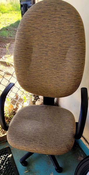office Chair Adjustable Good Condition Pick Up CHESTER HILL 216262866849204995112