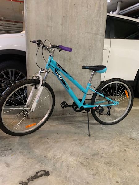 repco brook bike