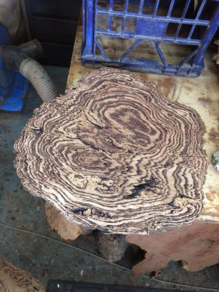 Hardwood live edge timber slab burl slices- from $10063008423324418114