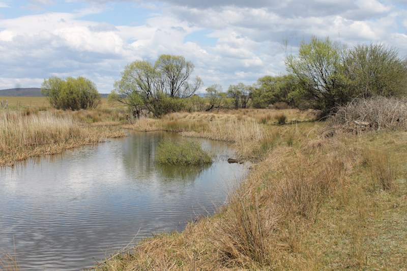 Jembaicumbene Creek62882775947266113