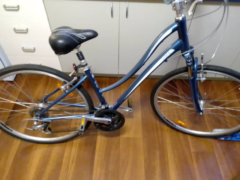 women's giant 21 speed bike