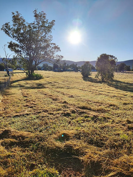 For Sale: 7 Narrabri Rd, Bingara, NSW 240463006841020803114