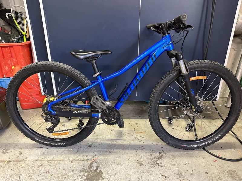 specialized mountain bike gumtree