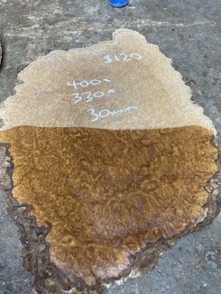 Red & brown mallee burl slices slabs platters boards63439076052225111