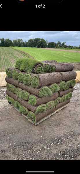 Fresh turf 63439277594115110