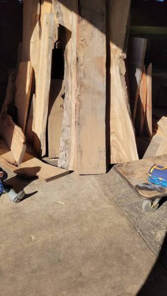 4550mm Undressed Mackay Cedar Timber Slab63005707692802111