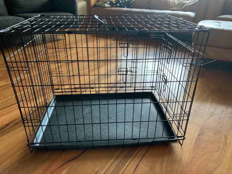 kmart dog crate with divider