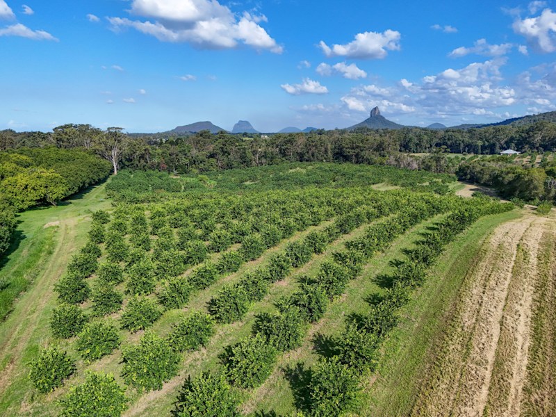 Prime Rural Opportunity!63006580196226113