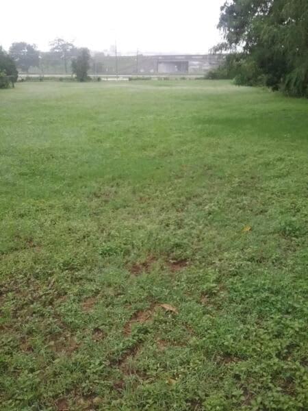 2266 sqm FLOOD FREE LAND IN TOWNSVILLE & CRIME FREE.62887429778946114