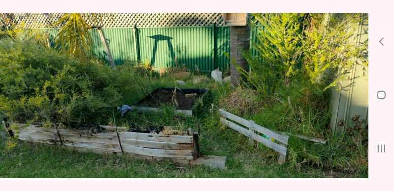 Garden Care Keeping it Green Free Quotes just ask me62863418325634114