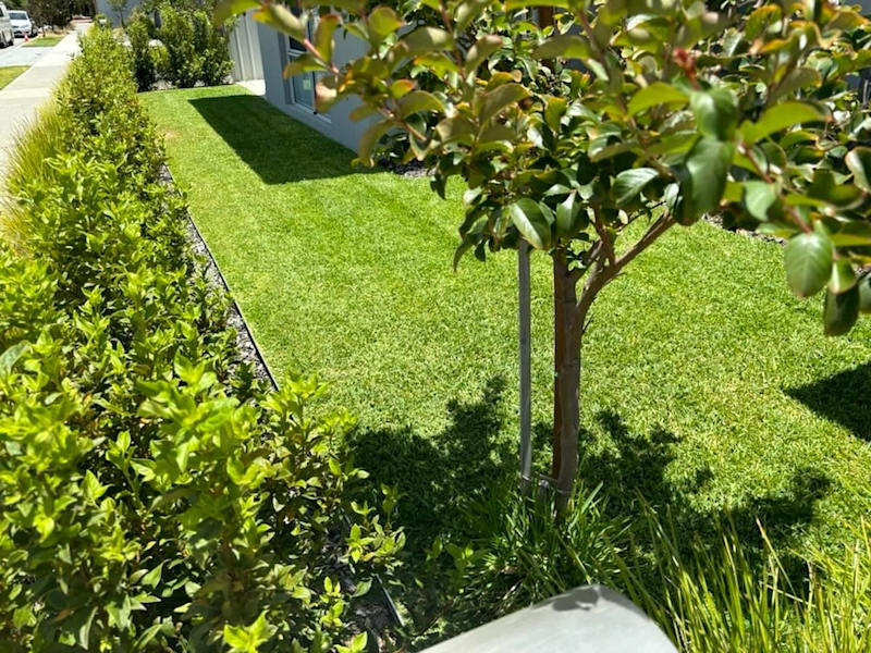 Lawn Mowing Services: Wembley - Mt Hawthorn - North Perth62864726589955111