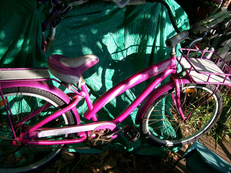 fluid beach cruiser