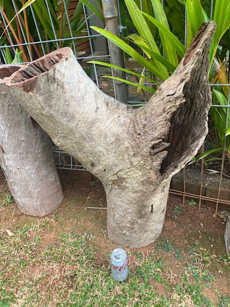Landscape Garden Feature Planters62863842803713112